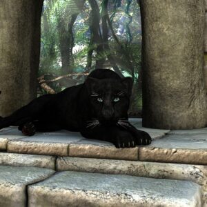 Panther